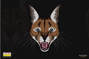 shiva 01